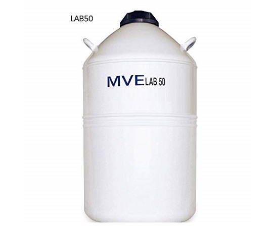 2-5893-06 液体窒素保存容器 LAB50 チャート