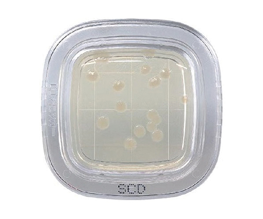 2-6430-30 ぺたんチェック®DD SCD寒天培地 PD0023(20枚) 栄研化学 印刷