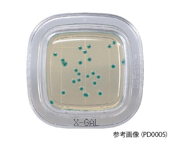 ぺたんチェック®DD X-GAL寒天培地 PD0005(20枚)