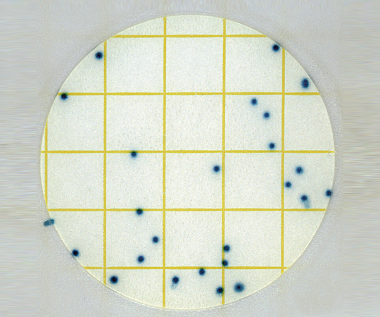 ペトリフィルム 培地 水中一般生菌数測定用 6452AQHC(50枚×20袋)