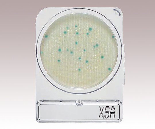 2-8998-02 コンパクトドライ 黄色ブドウ球菌測定用 06729X-SA(4枚×10袋) 島津ダイアグノスティクス