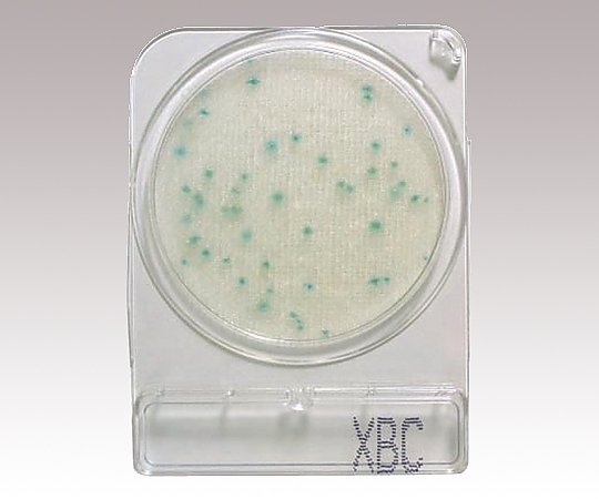コンパクトドライ セレウス菌検出用 06727X-BC(4枚/袋×10袋)