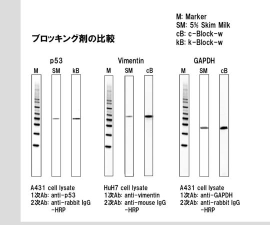 ブロッキング溶液ウエスタン用 トライアルセット(20mL×4種類)