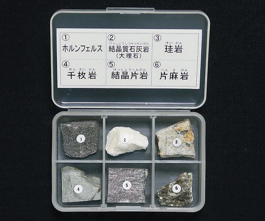 3-657-03 岩石標本(岩石標本変成岩6種) 東京サイエンス 印刷