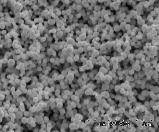 白金(Pt)粉末 球状 0.5~1.0μm TPT-405