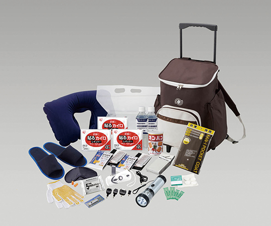 災害時用備蓄セット(キャリーバッグタイプ) AA-150(19点入)(4セット)