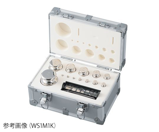 3-9951-04 分銅セット WS1M100 アズワン(AS ONE)