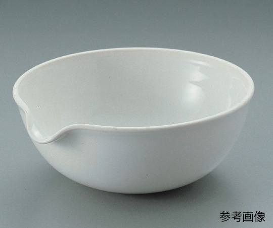 6-558-04 磁製蒸発皿 (丸皿) D-120