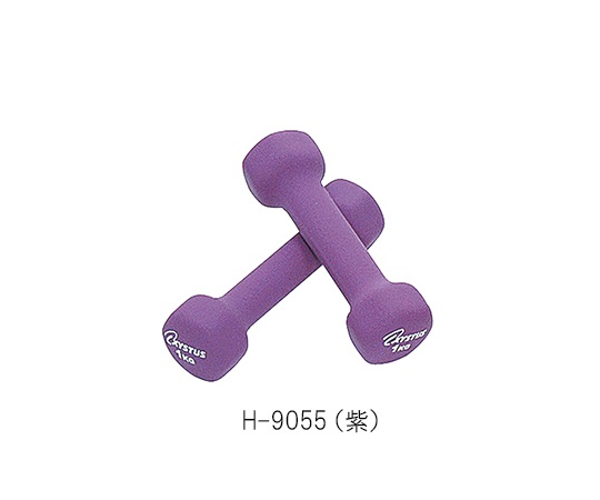 ラバーコートダンベル 1kg H-9055(紫)(2本)
