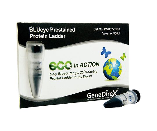 61-9703-39 BLUeye Prestained Protein Ladder プロテインラダーマーカー PM007-0500 GeneDireX 印刷