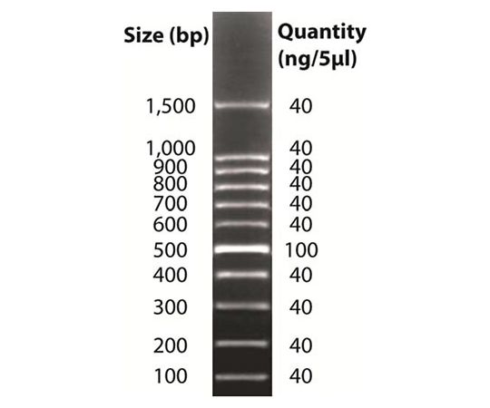 89-5248-92 DNAラダーマーカー DNAmarkTM100bp 786-855 G-Biosciences 印刷