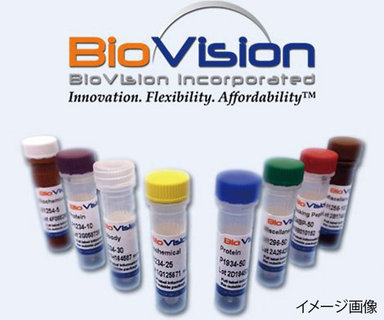 89-7392-99 抗生物質 Puromycin Dihydrochloride 250mg CAS No.58-58-2 1860-250 BioVision 印刷
